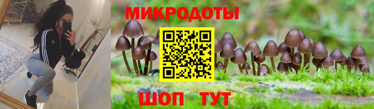 Галлюциногенные грибы Psilocybine cubensis  Галлюциногенные грибы мухоморы  Вход с VPN  Курган 